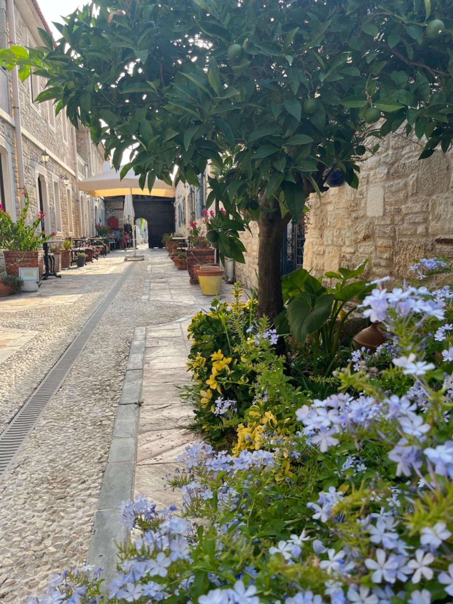 Griffon Hotel Yenifoca Exterior photo